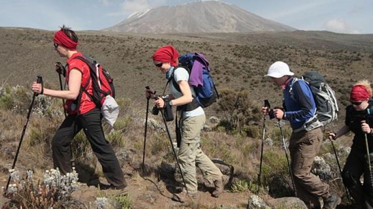 Kilimanjaro trekking tours